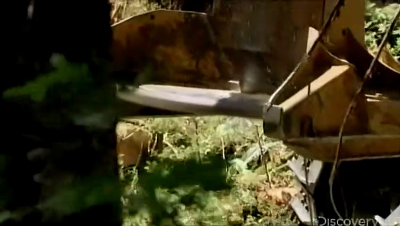 How Feller Buncher Works