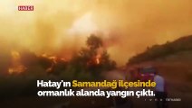 Hatay'da yangın yerleşim yerlerini tehdit ediyor: Bir mahalle boşaltıldı