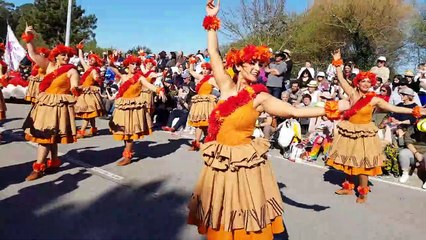 (domingo Carnaval de Ovar 2020 CHARANGUINHA