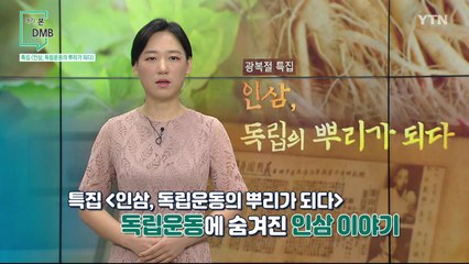 [9월 6일 시민데스크] 내가 본 DMB - 특집 / YTN