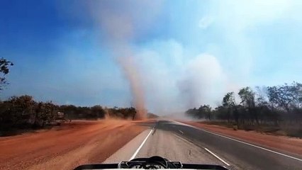 Dust Devil Dorothy Crosses the Road