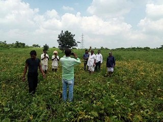 किसानों के प्रदर्शन के बाद राजस्व विभाग में खराब फसलों का किया निरीक्षण