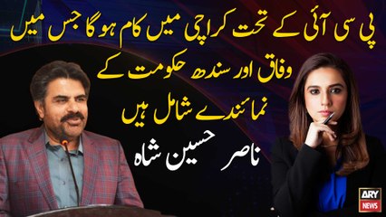 PCI panel includes representatives of the Federal and Sindh governments, Nasir Hussain Shah