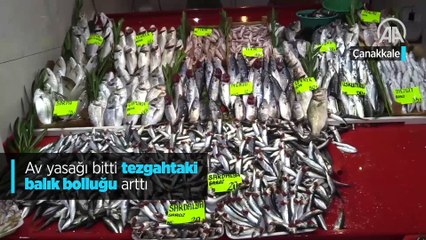 Av yasağı bitti tezgahtaki balık bolluğu arttı