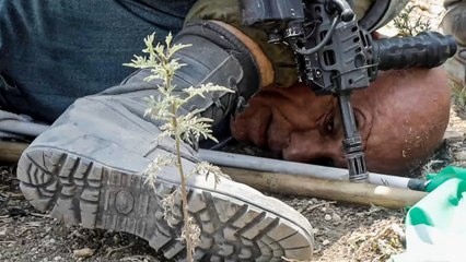 فيديو صادم أثار غضب كثيرين إثر اعتداء جندي إسرائيلي على رجل فلسطيني ستيني