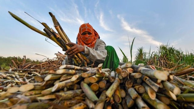EXCLUSIVE: Pandemic fuels child marriages among Beed's cane-cutter community