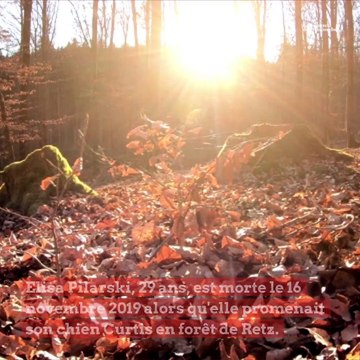 Affaire Elisa Pilarski : selon un expert le pitbull Curtis pourrait être responsable