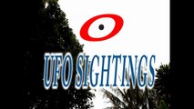 UFO Sightings UFO Zooms Behind T.V. Reporter Caught on Tape!