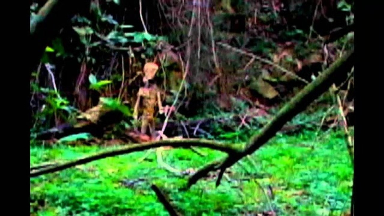 UFO Sightings Shocking  Real Grey Alien Sucker Punch!