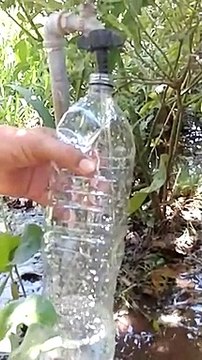 'Están politizando el tema del agua diciendo puras mentiras': Japaf