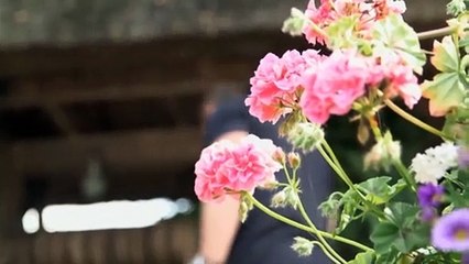 SOS La maison est hantée : Fleur de Lys