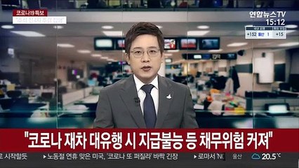 "코로나 재차 대유행시 지급불능 등 채무 위험 커져"