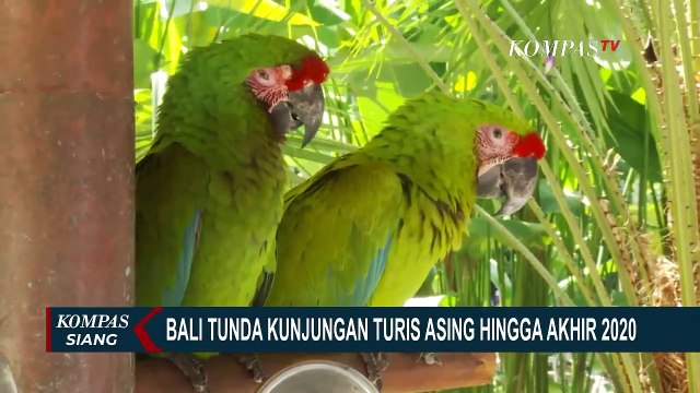 Bali Tunda Kunjungan Turis Asing Hingga Akhir 2020