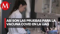 Entrevista, Teresa García Gasca. Rectora de La UAQ. Pruebas preclínicas de vacuna covid-19