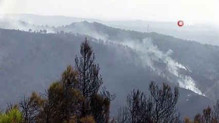 Orman yangını kontrol altına alındı