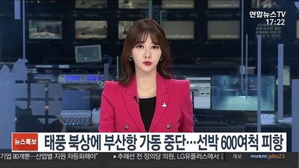 태풍 북상에 부산항 가동중단…선박 600여척 피항