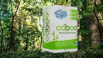 Caboo Tree Free Bamboo Toilet Paper with Septic Safe Biodegradable Bath Tissue