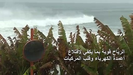 الإعصار هايشن يقترب من اليابان مصحوبا برياح عنيفة وأمطار غزيرة