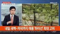 [일요와이드] 태풍 '하이선' 비상…초속 40m·400㎜ 폭우