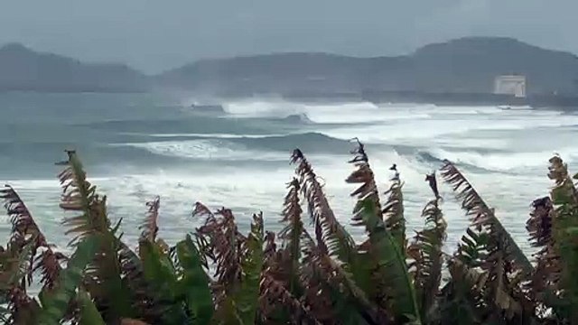 Le cyclone Haishen approche du Japon avec des vents violents et de fortes pluies