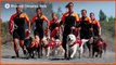 SLIDESHOW - Pooches join Italy beach patrol