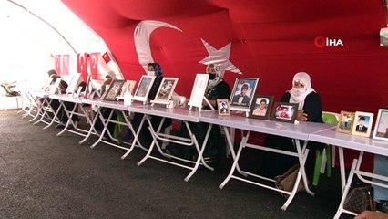 Okuyup meslek sahibi olacaklardı, kandırılıp dağa kaçırıldılar