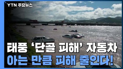 태풍 '단골 피해품' 자동차...아는 만큼 피해 줄인다! / YTN