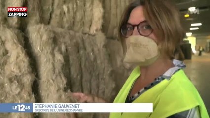 Coronavirus : un masque 100% naturel et végétal créé à base de chanvre (vidéo)