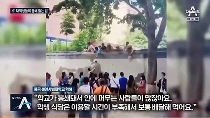 中 대학 ‘봉쇄식 관리’…담벼락 데이트·오리배 탈출 진풍경