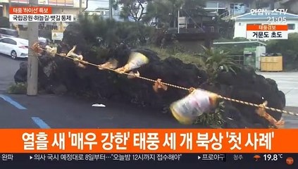 열흘 새 3개 태풍 강타 '이례적'…원인은?