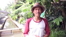 Kolam Ikan di Bogor Jadi Pasokan Pangan