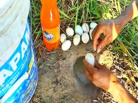 Unbelievable Fishing With Fanta - Eggs Catch Fish From Hole - Catching Fishes In Hole | Animal Trap