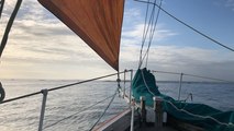 Balade matinale en baie de Morlaix à bord du Mondara Mad