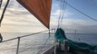 Balade matinale en baie de Morlaix à bord du Mondara Mad