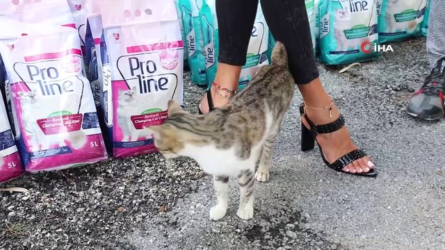 Tuğba Özay'dan, sokak hayvanları için anlamlı bağış