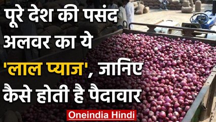 Alwar का 'लाल प्याज' कैसे होता है तैयार, जानिए कैसे होती पैदावार, देखिए ये रिपोर्ट | वनइंडिया हिंदी