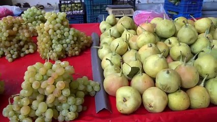 Bursa’nın ilk Çiftçi Pazarı açıldı