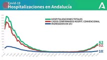 Gráfico con la evolución de los ingresos hospitalarios por coronavirus en Andalucía. COVIDー19