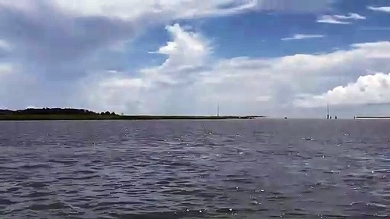 Ce dauphin fait le show face à des touristes... sauts impressionnants