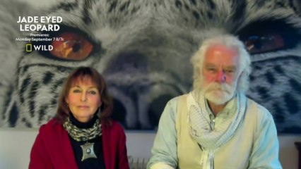 IR Interview: Beverly & Dereck Joubert For "Jade Eyed Leopard" [Nat Geo Wild]