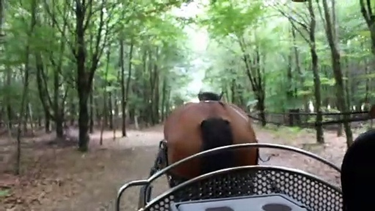 Reportage - L'attelage Des Ardennes