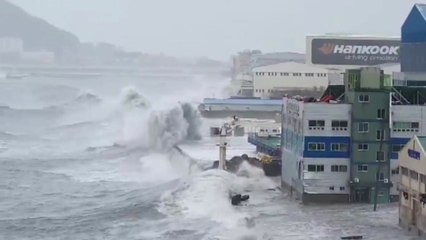 열차·항공 운행 차질...시설물 피해 잇따라 / YTN