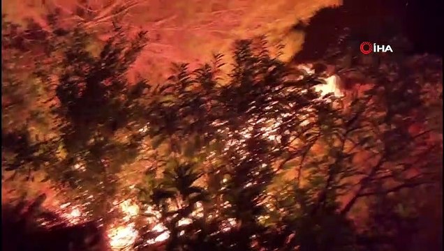 Hatay'daki yangına, karşı ateş tekniğiyle müdahale ediliyor