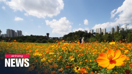 S. Korea, int'l communities celebrate 1st 'International Day of Clean Air for blue skies'