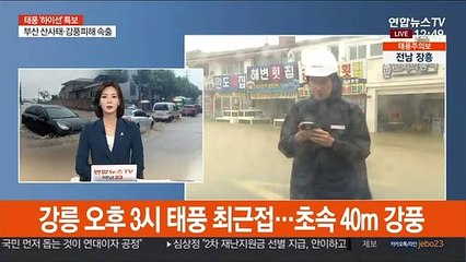 태풍 하이선 북상…나흘만에 태풍 맞는 강원 동해안 초긴장