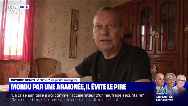 Mordu par une araignée, un sexagénaire frôle l'amputation du bras