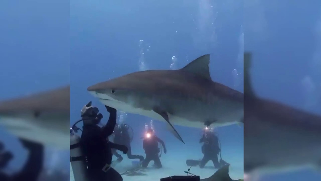 r/gifs | Daily juicy gifs memes | Funny Meme Gifs Showing That Daily you laugh | Gifs | Funny Video