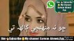 Shaman Ali merali __ WhatsApp status songs __ Sindhi status __ Sarwan Ahmed Pak(360P)