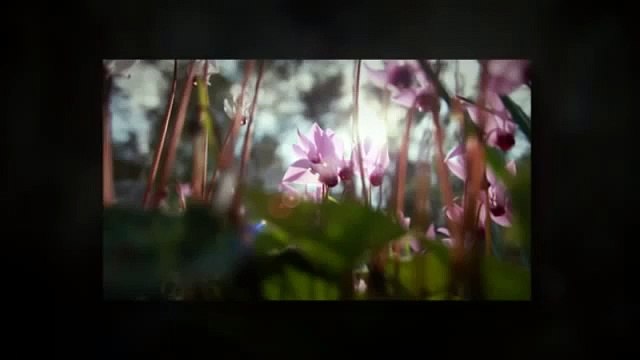 15-Minute Meditation _ Minute Meditations_