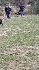 Rentrée des classes